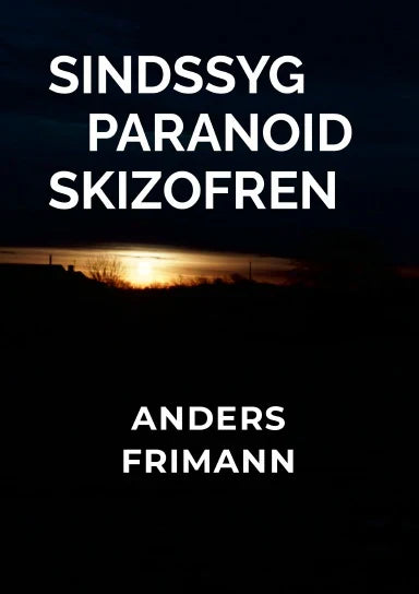 Sindssyg Paranoid Skizofren: Du er Min Fremtid